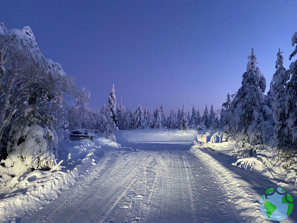 Bosque nevado en Finlandia